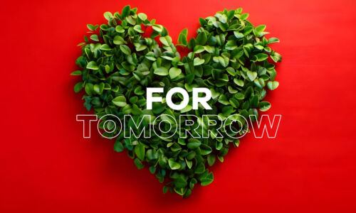 Erfolgreiche FSC®- und PEFC-Rezertifizierung