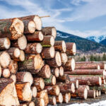 EUDR: Verschiebung und Reduktion der Sorgfaltspflichten in Sicht